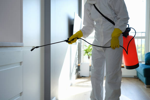 Best Mold Damage Repair  in Weatherby Lake, MO