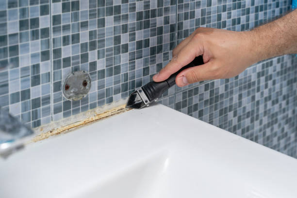 Best Mold Remediation  in Weatherby Lake, MO