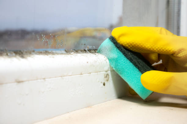 Best Mold Cleaning Services  in Weatherby Lake, MO