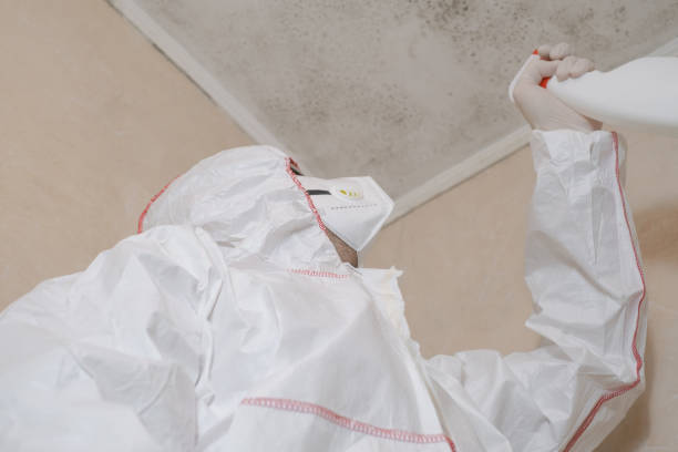 Best Mold Testing  in Weatherby Lake, MO