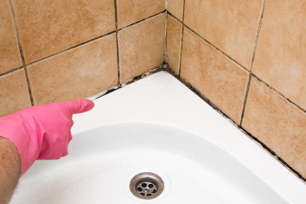 Best Toxic Mold Removal  in Weatherby Lake, MO